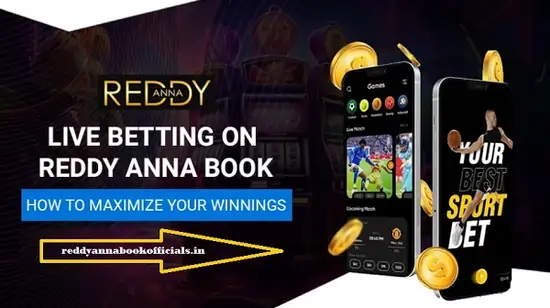 Reddy Anna Book Club Betting Platform – Safe & Exciting Online Betting